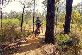 Mornington_Glory_-_Arklow_Network_1