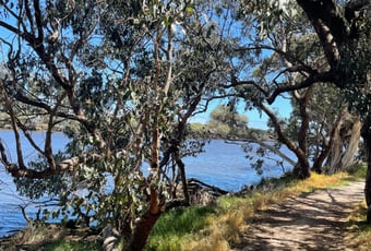 Dandjoo Bilya Trail3_Australind_SPower