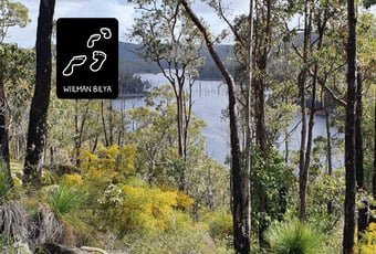 Wiilman Bilya_Wambenger_Wellington NP_@By Denzil