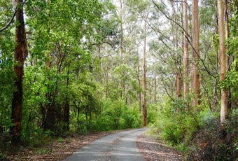 Knolls Trail1_BAnderson.jpg