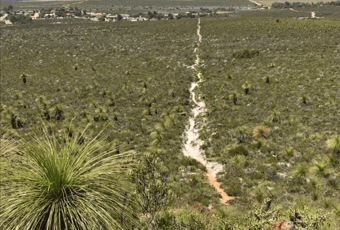 Bad-Ji Gabbi Loop Trail_Badgingarra5_CSoord