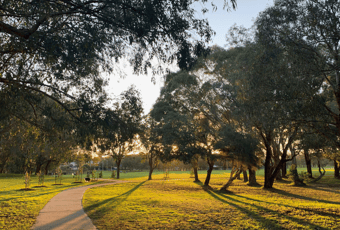 Early Morning_Lake Gwelup_KS