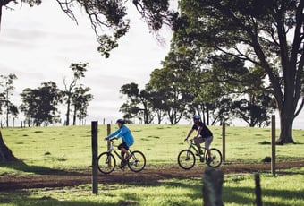 Wadandi Track1_Elements