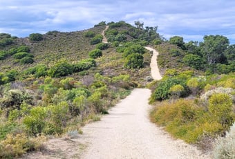 Maidens Ridge T Johnson 1.jpg