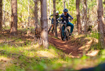 yh1qRbPnfthX7c8v6Pjx9SUU93FXP8-metaVGhlLUx1Z2UtRmVtYWxlLVJpZGVyLVRvbXMtQ3Jvc3NpbmctTVRCLVRyYWlscy1Ed2VsbGluZ3VwLUNyZWQtRmxvdy1NVEIuanBn-