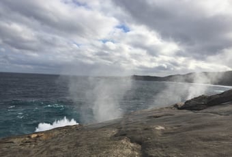 Blowholes_1