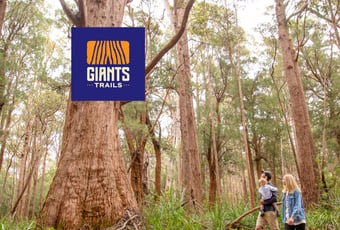 Ancient Myth_Glass Slipper8_Giants Trails_Nic Quinn Ride On