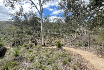 borhn_trail_johnforrest_DBCA1