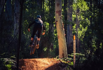 The Arboretum. Sean Tysoe (15)