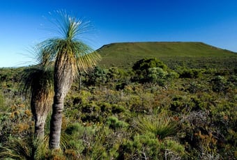 lesueur_walk_trail_1