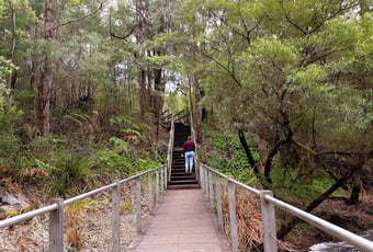 Lefroy_Brook_Loop_Walk_2