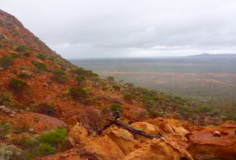 Goordgeela_Wendy Payne