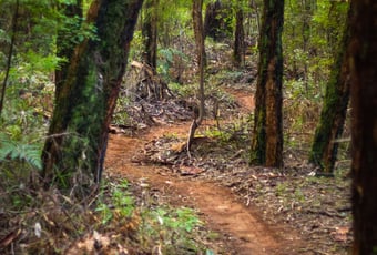 Down Dale_Pemberton MTB Park_Pemberton Cycling Association