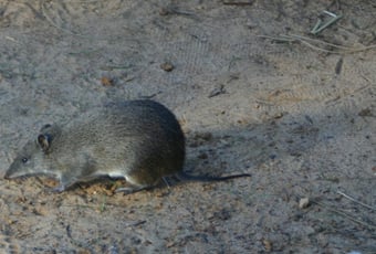 IMG_7320@Scott_Henderson