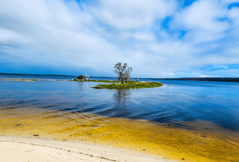 Island_Point_Reserve_Chelle_Fisher
