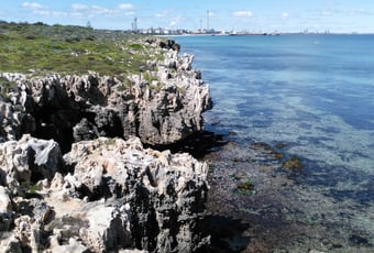 6Hw10Y0fyfMwGcU36xtzLdEXNiAKnT-metaSGVuZGVyc29uIEZvcmVzaG9yZTFfQmVlbGlhciBSUF9NYXR0IENhdmFuYS5wbmc=-