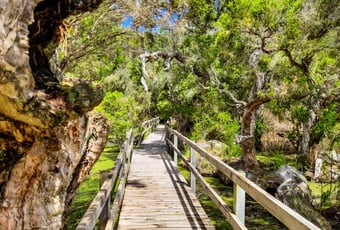 Webp.net-resizeimage_(19)