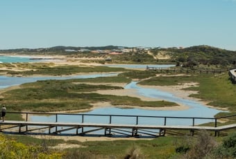 Irwin_River_Estuary