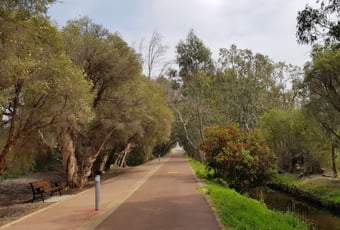 bayswater_foreshore_walking_trail_1