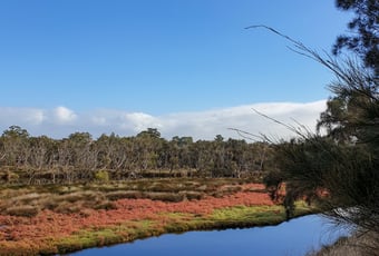 Kuljak_Island_Walk_01