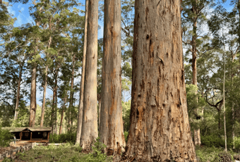 Four Aces Trail6_DonnellyRiver_KStevens