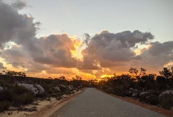 lesueur-scenic-drive-lesueur-national-park-bronwyn-wells