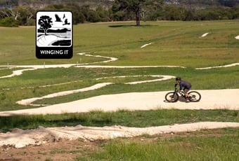 WingingIt-Yalbunullup