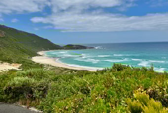 View_Conspicuous Cliff_Walpole_KStevens