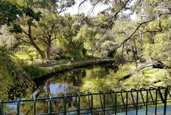 Bridge_Noongar Kaartdijin’ Bidee Harvey Region