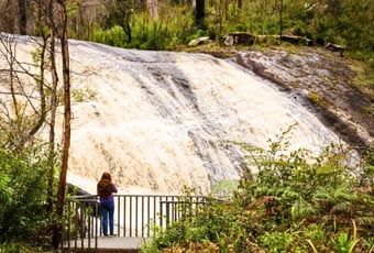 Lane-Poole-Falls-Northcliffe- Wendy Eiby-contain-1040x860.jpg