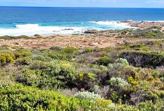 Cape Naturaliste Loop T Johnson 5.jpg