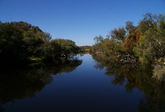 butterflies_birds_bridges_loop_trail_2