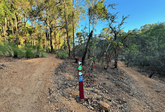 220_Arklow Adaptive Signage1_Arklow_Collie_KStevens