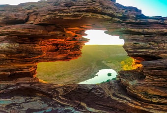 Natures_Window_1