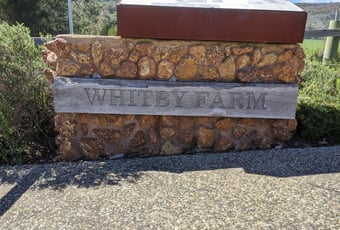 116360747_1407970299403971_9133505809118499799_n