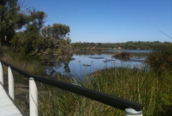 wetlands_walk_viewfrombridge