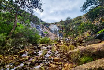 Lesmurdie Fall3s_MundyRP_Chelle Fisher