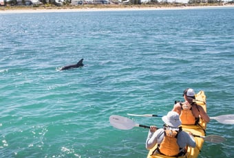 Kayakers_Osprey_Trail_Tourism_WA