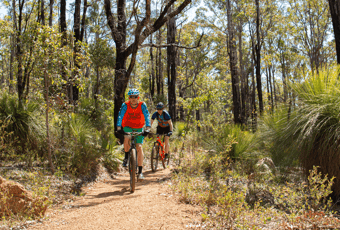 Around About Arklow_Arklow_DBCA