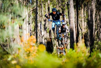 Lake_Lechinaultia_Shakes_N_Ladders