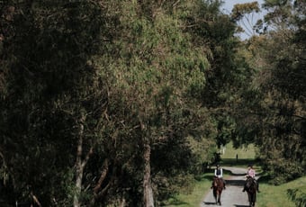 Robinson Loop-Manni Road. Stidwell Bridle Trail-6