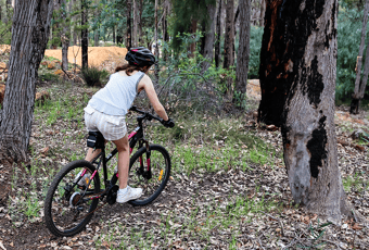 Wagyl Biddi Baby ANimals