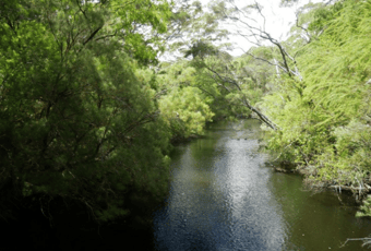 Kapagup Network_Bron Anderson:DBCA