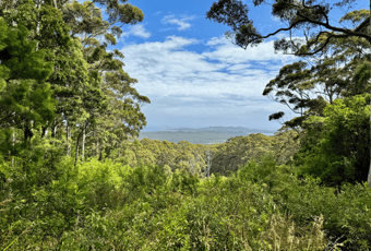 HillTop Lookout_Walpole_KStevens
