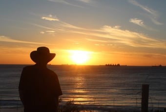 Gazing_at_Mosman_Park_by_Sally_Wallace