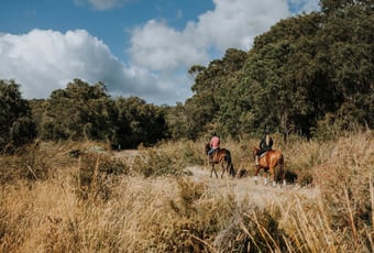 Werrilup Loop. Stidwell Bridle Trail-21
