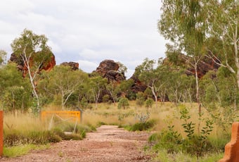 TheBloodwoods_PurnululuNP_DBCA_1