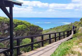 Whale Trail Cape Naturaliste T Johnson .jpg