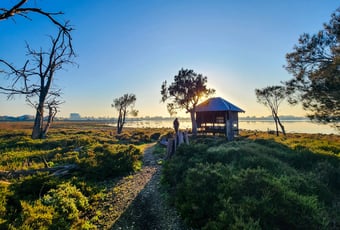 Samphire_Cove_Trail_Birdhide