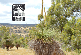 Shearing Shed Link1_BindoonMTB Park_Jo Larvin.jpg